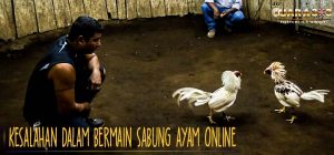 Kesalahan dalam Bermain Sabung Ayam Online